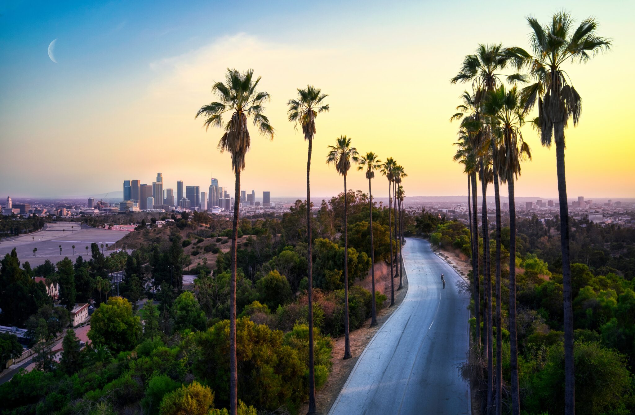 Los Angeles Skyline Palm Trees