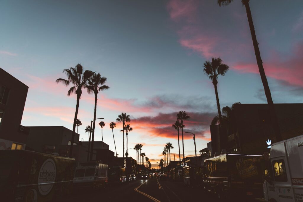 Street in LA with palm trees