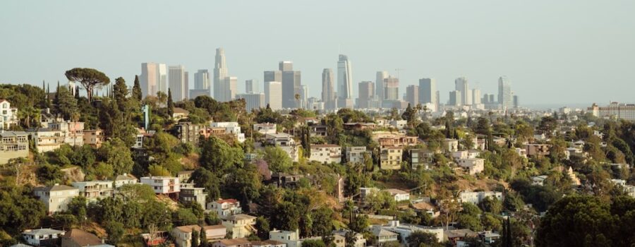 Los Angeles Zoning