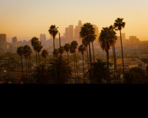 Los Angeles skyline at sunset with palm trees representing California real estate development