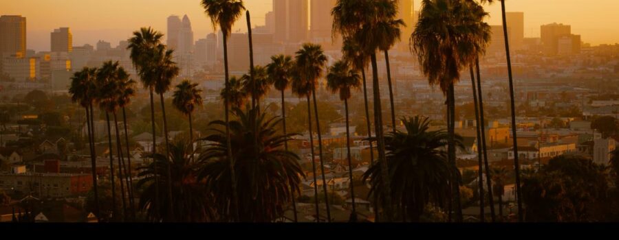 Los Angeles skyline at sunset with palm trees representing California real estate development
